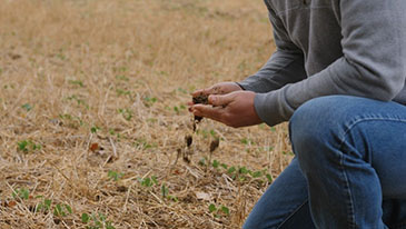 Growing regenerative agriculture 1000 farmers at a time