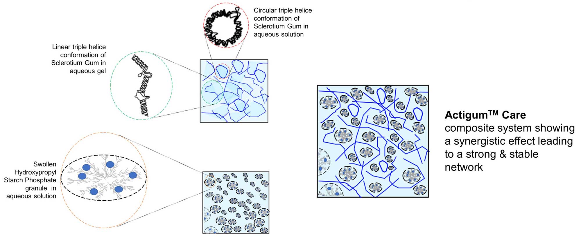 Actigum™ Care Polymer Mapping
