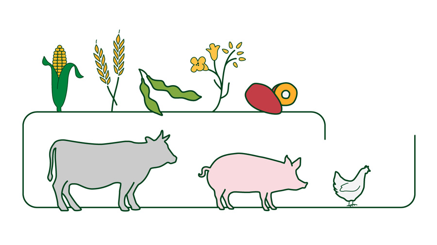 An infographic showing how your food is grown and produced.