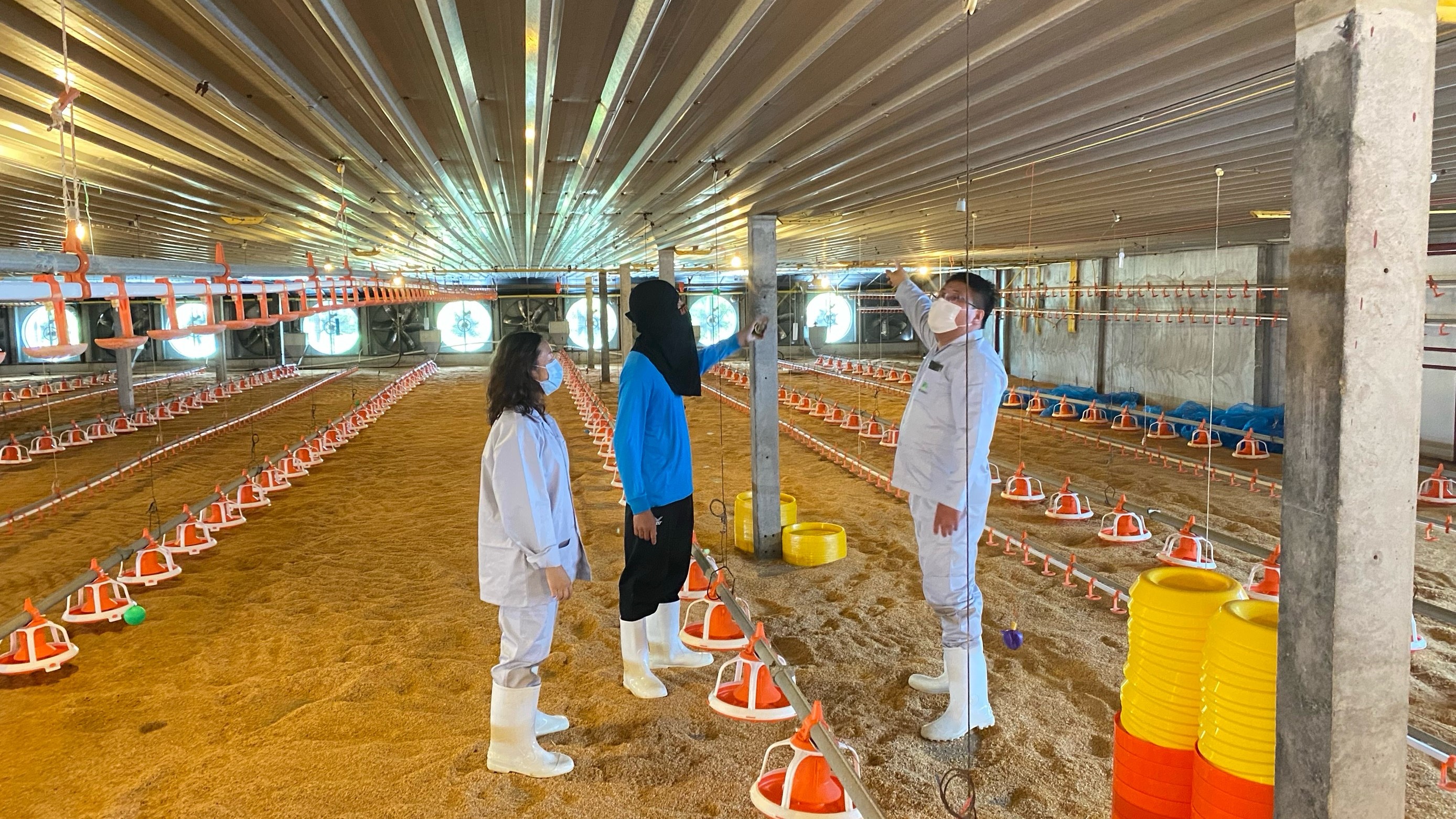  Three people set up a camera in a chicken farm to monitor birds.