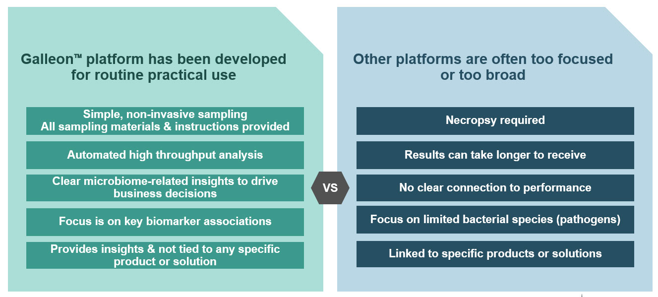 Galleon What Makes Us Different Than Competitors