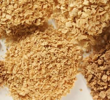 Prosante is a Sustainable Vegetable Protein