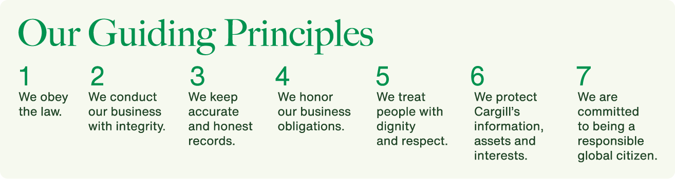 Guiding Principles 