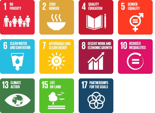 UN SDG Goals Tiles